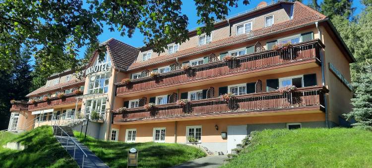 拜德布兰巴赫公园酒店(Parkhotel Bad Brambach)图片