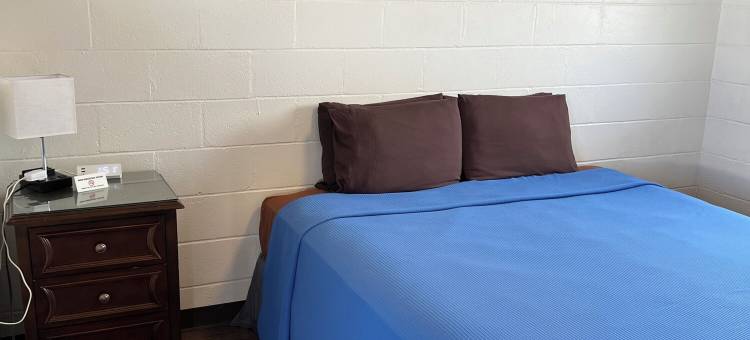 蒂普托普汽车旅馆(TIP Top Motel)图片