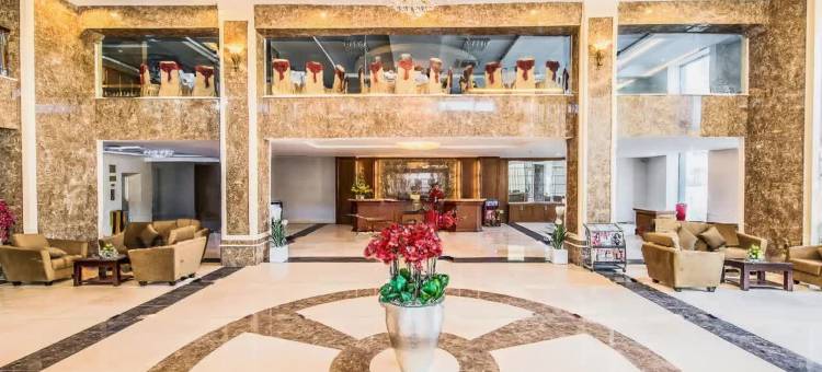 头顿孟青假日酒店(Muong Thanh Holiday Vung Tau)图片