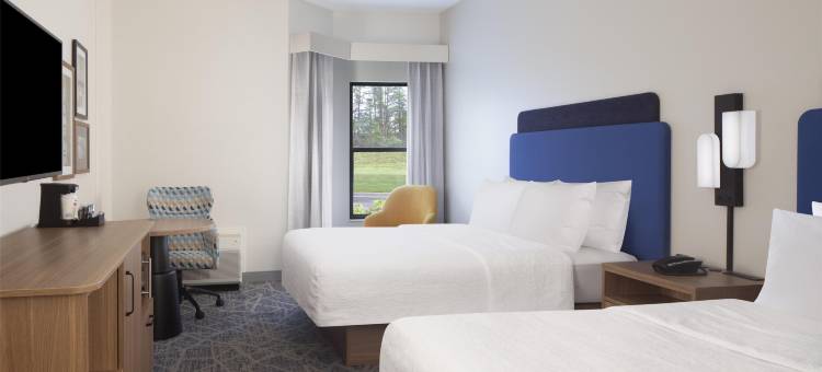 北坦帕希尔顿欢朋旅馆&套房酒店(Hampton Inn & Suites Tampa-North)图片