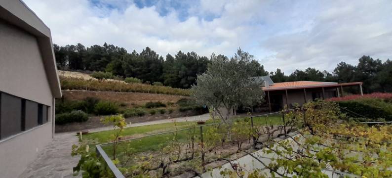 金塔曼哈斯杜罗乡村别墅(Quinta Manhas Douro)图片