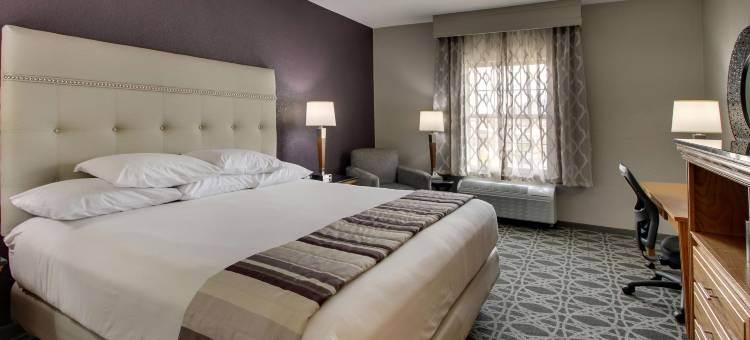 阿尔伯克基北德鲁里套房酒店(Drury Inn & Suites Albuquerque North)图片