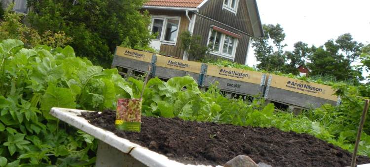 吉斯盖尔德酒店(Gits Gard)图片