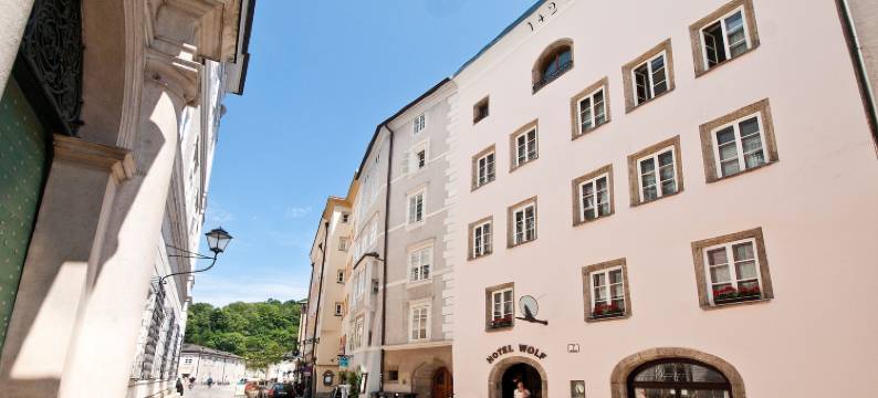 沃尔夫酒店(Hotel Wolf)图片