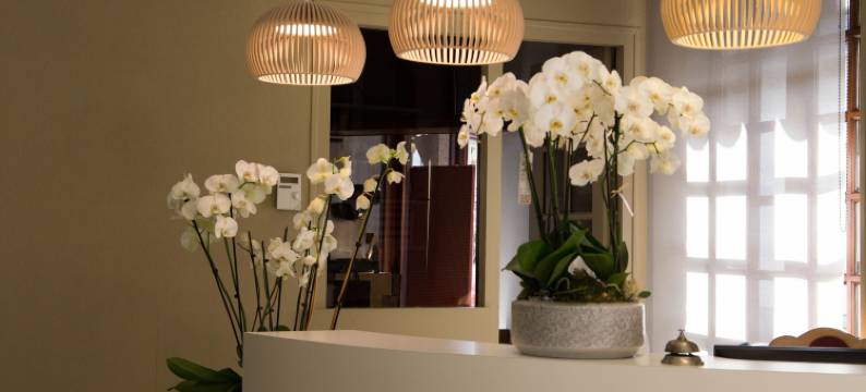 维尔法国酒店(Hôtel de France Vire)图片