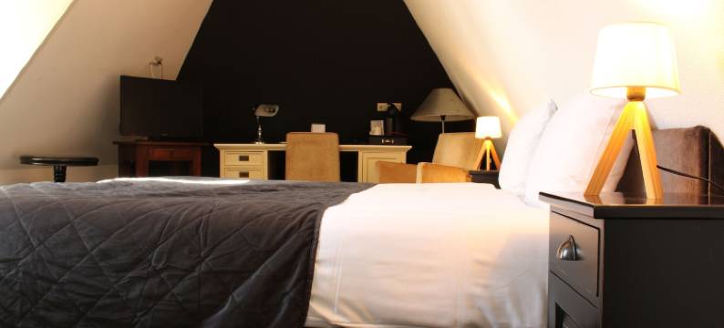 哈维扎特卡尔贝迪姆(Havezathe Carpe Diem)图片