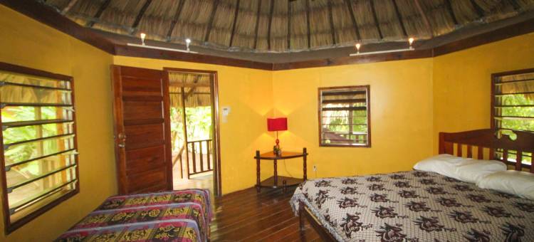 羽叶棕榈河畔小屋酒店(Cohune Palms River Cabanas)图片