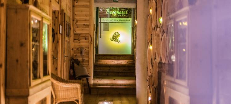 贝格酒店(Berghotel - Sexten)图片