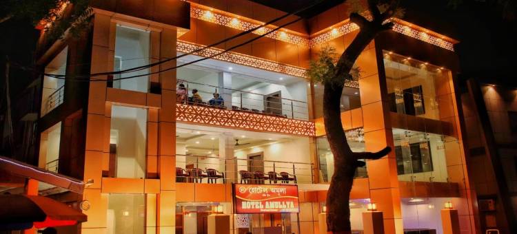 阿穆利亚酒店(Hotel Amullya)图片