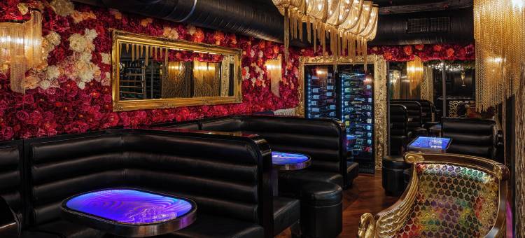 金树酒店(Hotel U Zlatého Stromu Prague by Bhg)图片