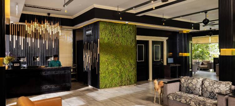 阿西拉帕利卡萨瑞欧度假村(Casa Rio Resorts Athirappilly)图片