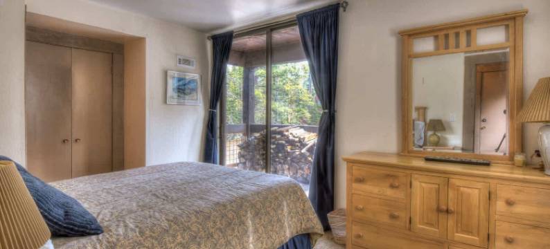 银树庇护所，在白杨树林中(Silver Tree Sanctuary in Aspen Grove!)图片