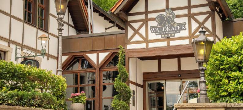 德尔瓦尔德卡特酒店(Hotel der Waldkater)图片