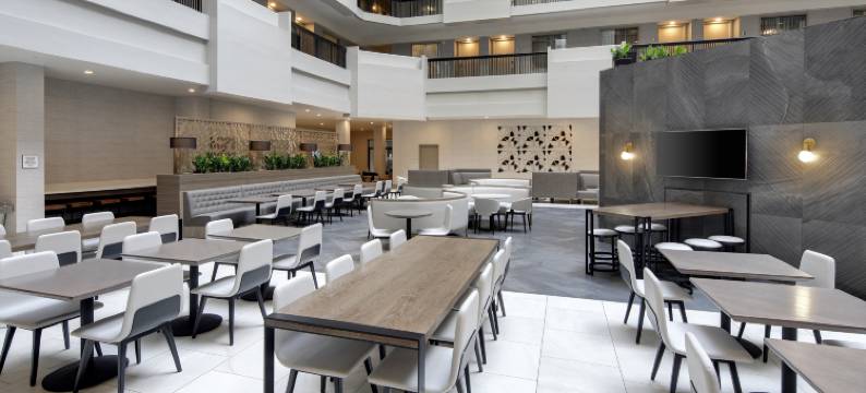 亚特兰大周界中心希尔顿大使套房酒店(Embassy Suites by Hilton Atlanta Perimeter Center)图片