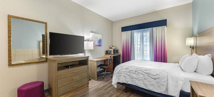 圣安东尼奥东套房贝斯特韦斯特优质酒店(Best Western Plus San Antonio East Inn  Suites)图片