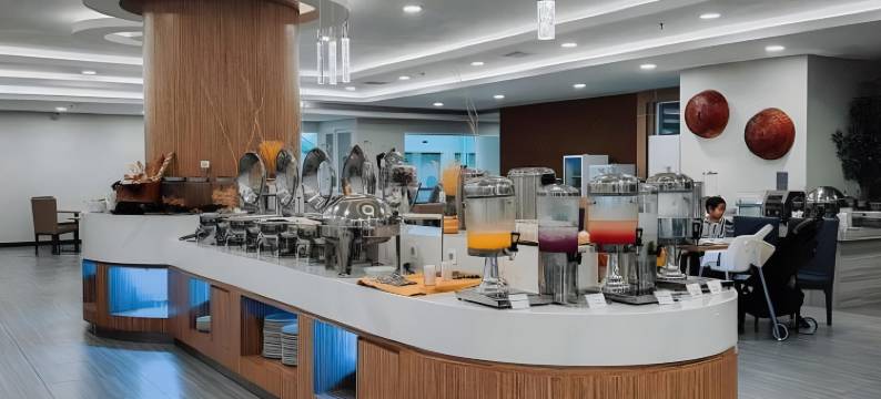 安娜拉天空-瓜拉纳穆(Anara Sky Kualanamu Hotel)图片