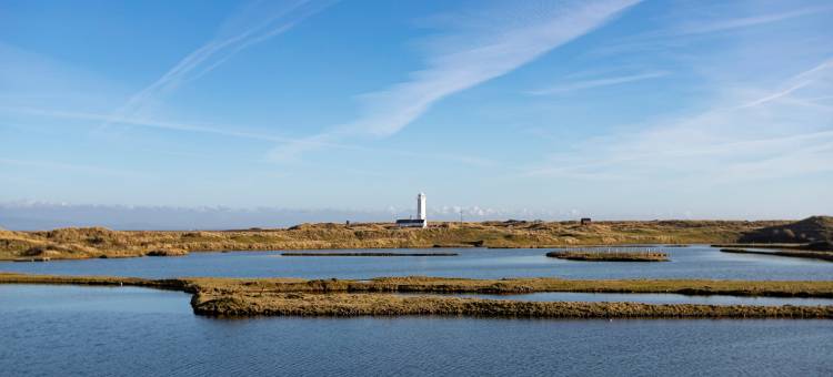 Cottage by South Walney Lighthouse & Nature图片