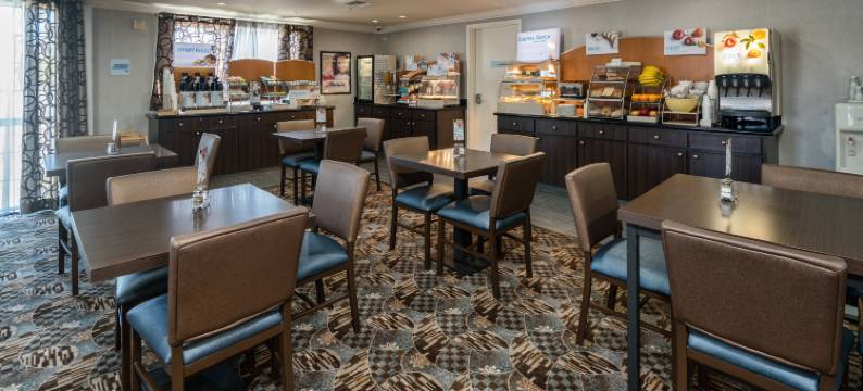 智选假日套房酒店圣克拉拉(Holiday Inn Express & Suites SANTA CLARA by IHG)图片