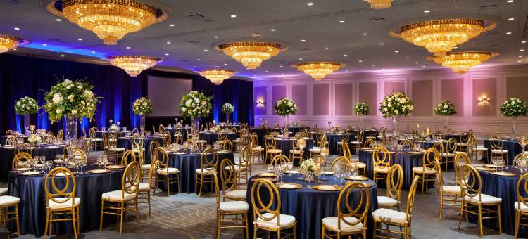 盖勒瑞亚休斯顿威斯汀酒店(The Westin Galleria Houston)图片