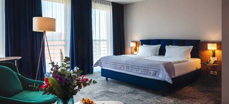 柏林市中心东普伦茨劳贝格假日酒店(Holiday Inn Berlin City Center East P-Berg)图片