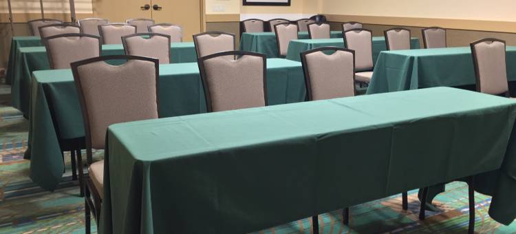 芝加哥NW阿灵顿高地智选假日酒店(Holiday Inn Express Chicago NW - Arlington Heights)图片