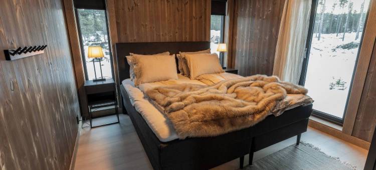 豪华度假屋，滑雪，桑拿，远程办公(Luxury Holiday Home, Skiing, Sauna, Remote Office)图片