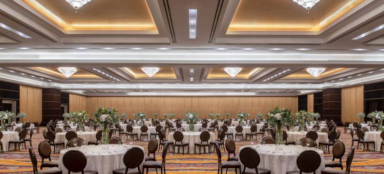 多哈瑞吉酒店(The St. Regis Doha)图片