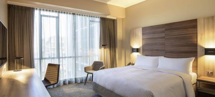 康塞普西翁美居酒店(Mercure Concepción)图片