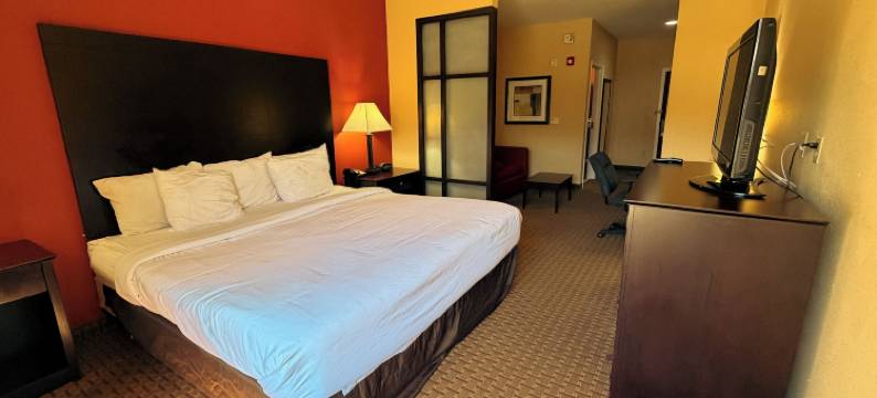 舒适套房酒店-黄金群岛(Comfort Suites Golden Isles Gateway)图片