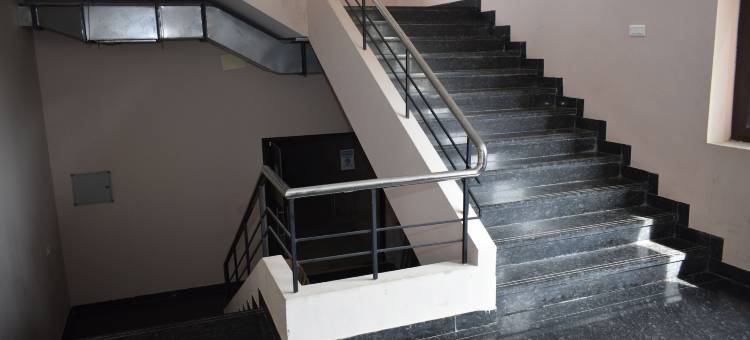 克里希纳维杰玛哈尔酒店(Hotel Vijay Krishna)图片