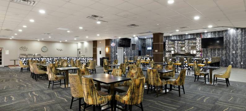 麦卡伦维尔塔酒店(Verta Hotel McAllen)图片