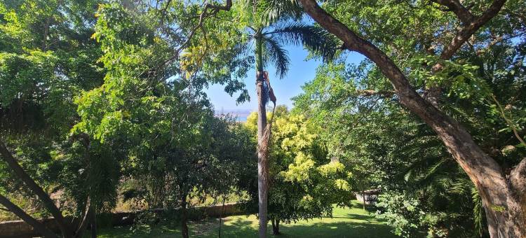 迷人的三卧室旅馆 - 2300(Charming 3 bedroom guesthouse - 2300)图片