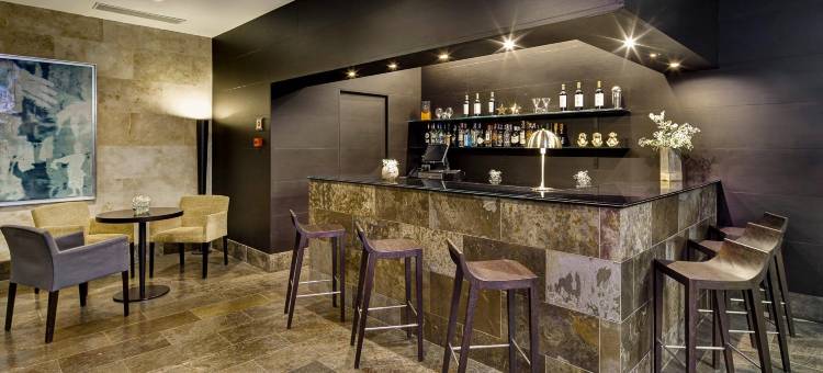 Sercotel大教堂门酒店(Sercotel Puerta de la Catedral)图片