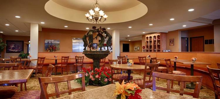 瑞士小屋贝斯特韦斯特优质套房酒店(Best Western Plus Swiss Chalet Hotel  Suites)图片