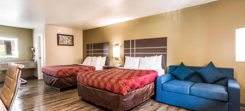 伊康套房旅馆(Econo Lodge Inn & Suites)图片