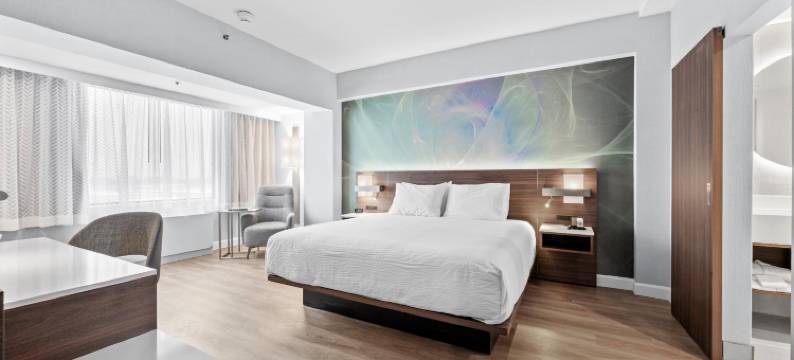 蒙特利尔机场阿蒙广场酒店，温德姆Trademark精选(Armon Plaza Montreal Airport)图片