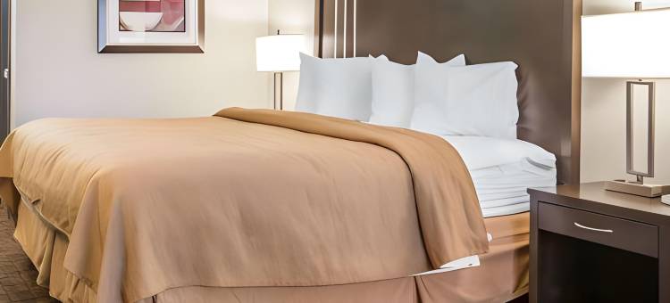 伍德兰德品质酒店 - 萨克拉门托机场(Quality Inn & Suites Woodland - Sacramento Airport)图片