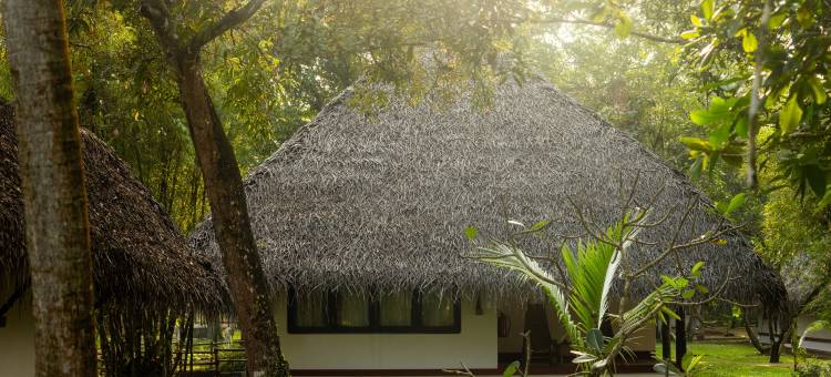 玛雅丽海滩 - 席格地球(Marari Beach Resort Alleppey- a CGH Earth Experience)图片