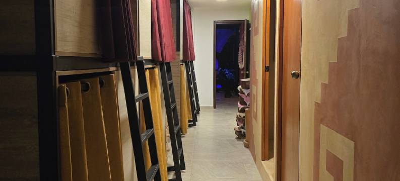 索奇米尔科的树之家旅馆(Casa del Árbol Hostel Xochimilco)图片