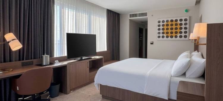 阿卡普尔科阿马雷亚假日酒店，洲际旗下(Holiday Inn Acapulco Amarea by IHG)图片