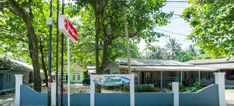 红多兹酒店Pondok Diana-Ujung Genteng海滩4(RedDoorz @ Pondok Diana Pantai Ujung Genteng 4)图片