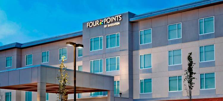福朋喜来登酒店-埃德蒙顿国际机场(Four Points by Sheraton Edmonton International Airport)图片