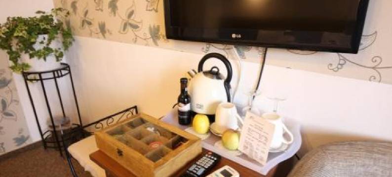 费迪南德潘扎欧酒店(Pension Ferdinand Panzio)图片