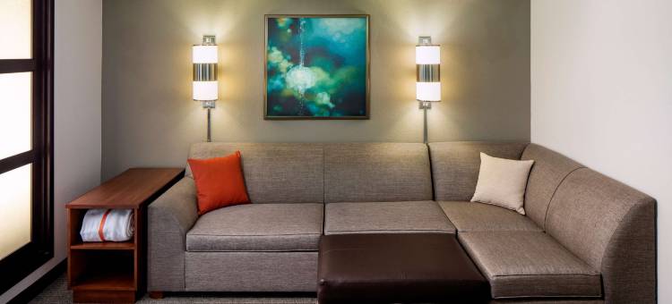 格林维尔/海伍德凯悦嘉轩酒店(Hyatt Place Greenville Haywood)图片