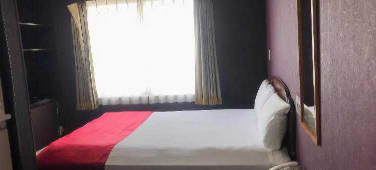 东京海湾广场酒店(Tokyo Bayplaza Hotel)图片