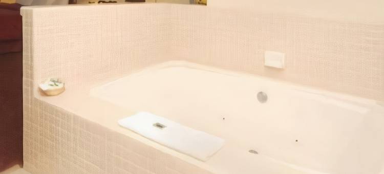 硅谷克拉丽奥酒店(Clarion Inn Silicon Valley)图片