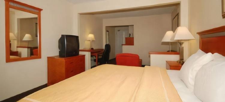 大学区舒适套房标准酒店(Comfort Suites Normal University Area)图片