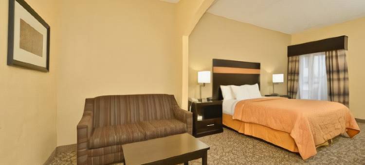 斯通山舒适套房酒店(Comfort Inn & Suites at Stone Mountain)图片