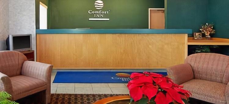 艾尔克舒适酒店(Comfort Inn Elko)图片