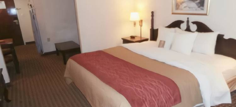 舒适酒店-普莱恩菲尔德-印第安纳波利斯机场(Comfort Inn Plainfield - Indianapolis Airport)图片